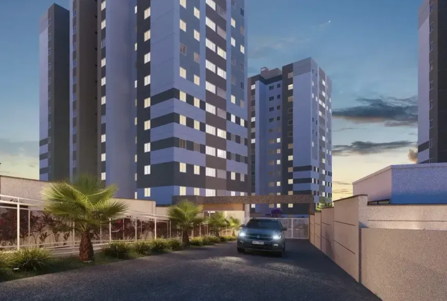 Foto - Belo Horizonte - Palmeiras