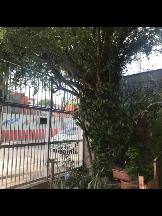 Primeira imagem do imóvel