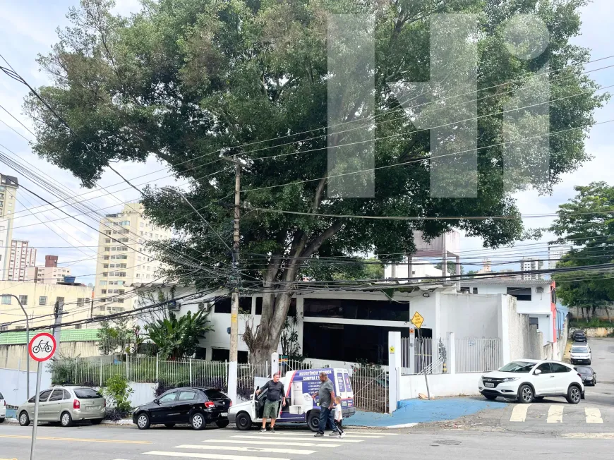 Foto - São Paulo - Bosque da Saúde