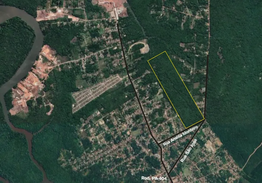 Foto - Benevides - Benfica