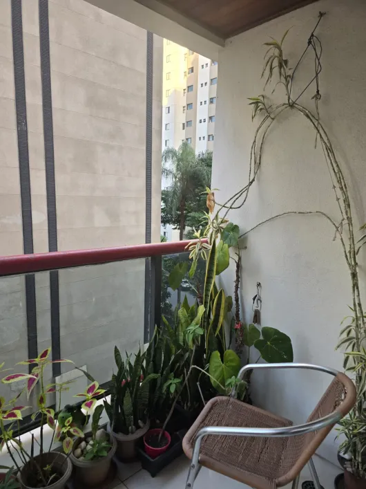 Foto - São Paulo - Tatuapé