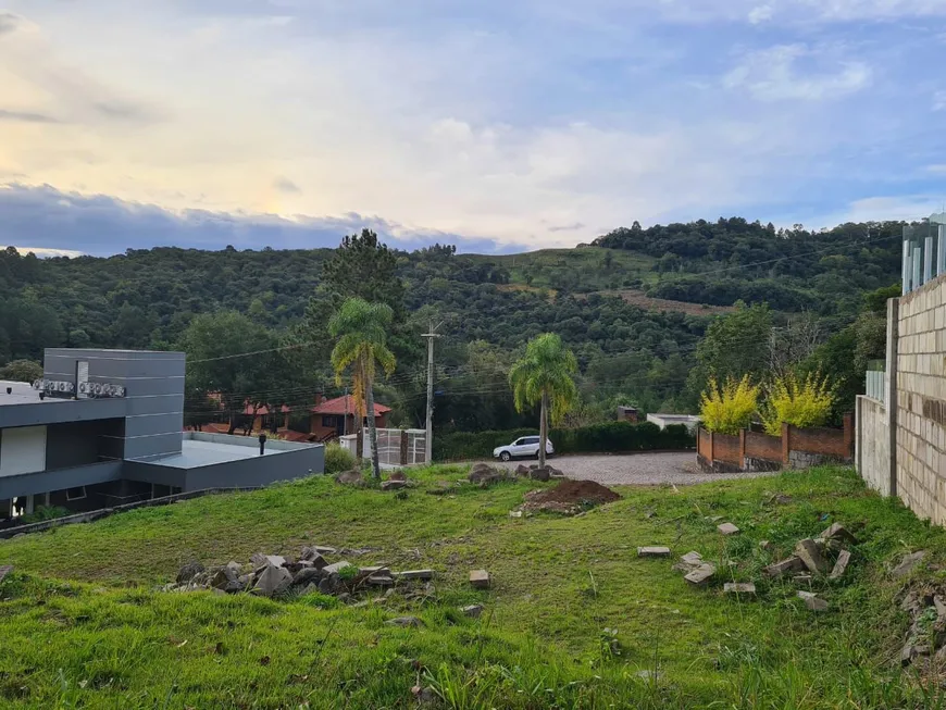 Foto - Caxias do Sul - Parque dos Vinhedos