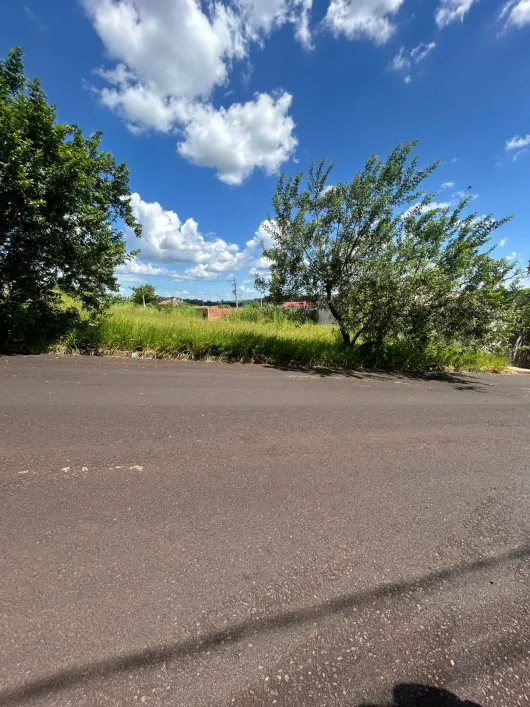 Foto - Sertãozinho - Jardim das Araucárias