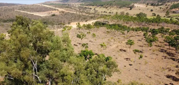 Terreno / Lote / Condomínio à venda, 20000m² no , Cordisburgo