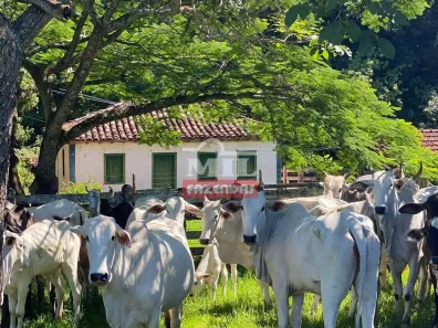 Fazenda / Sítio / Chácara à venda, 500m² no , Ipameri