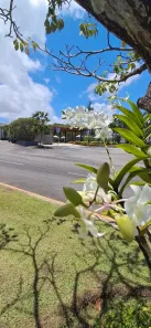 Terreno / Lote / Condomínio à venda, 520m² no Ponta Negra, Natal
