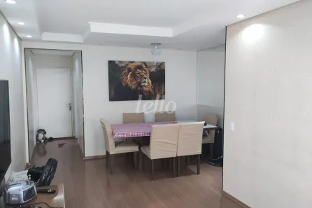 Apartamento com 3 Quartos à venda, 75m² no Vila Floresta, Santo André
