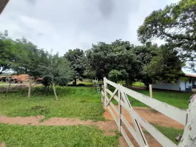 Fazenda / Sítio / Chácara com 3 Quartos à venda, 42m² no , Davinópolis