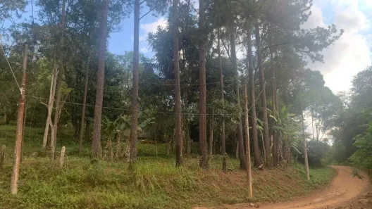 Fazenda / Sítio / Chácara com 2 Quartos à venda, 100m² no Jardim das Cerejeiras, Cotia