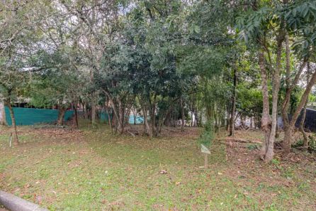 Terreno / Lote / Condomínio à venda, 503m² no Santo André, São Leopoldo