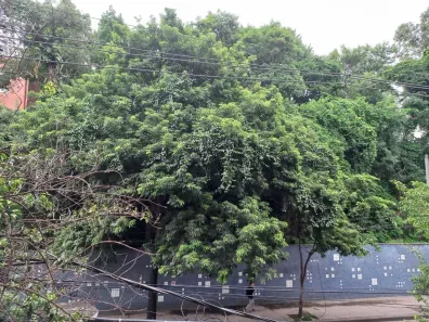 Apartamento com 3 Quartos à venda, 140m² no Tijuca, Rio de Janeiro