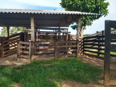 Fazenda / Sítio / Chácara com 3 Quartos à venda, 47m² no , Ipameri