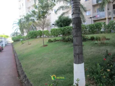 Apartamento com 2 Quartos para alugar, 50m² no Residencial Santa Filomena, São José do Rio Preto