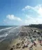 Miniatura da foto de João Manoel