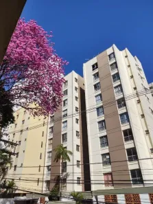 Kitnet com 1 Quarto à venda, 38m² no Centro, Campinas
