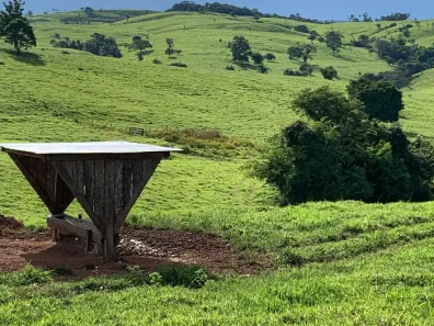 Fazenda / Sítio / Chácara com 3 Quartos à venda, 200m² no , Ipameri