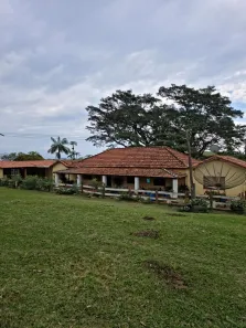 Fazenda / Sítio / Chácara com 3 Quartos à venda, 100m² no , Pardinho