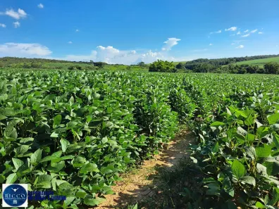 Fazenda / Sítio / Chácara com 2 Quartos à venda, 161m² no Setor Central, Ipameri
