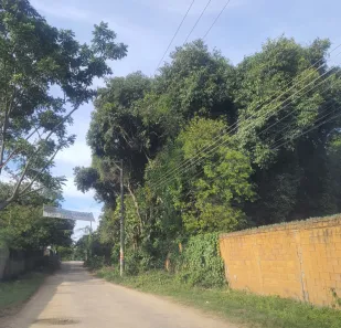 Terreno / Lote / Condomínio à venda, 2000m² no Santa Cruz, Rio de Janeiro