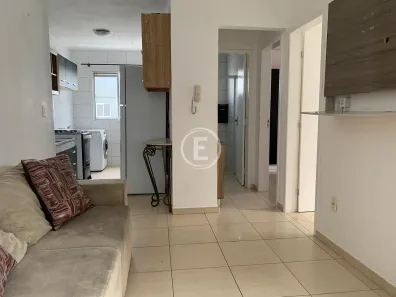 Apartamento com 2 Quartos à venda, 46m² no Pachecos, Palhoça