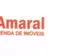 Miniatura da foto de Celso Amaral