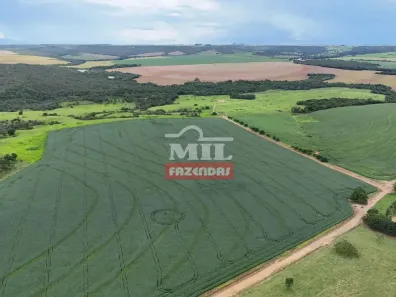 Fazenda / Sítio / Chácara à venda, 500m² no , Ipameri