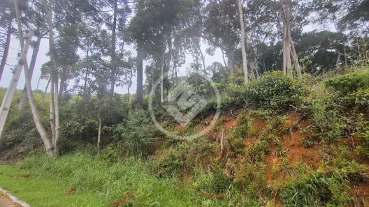 Terreno / Lote / Condomínio à venda, 1336m² no Prata, Teresópolis