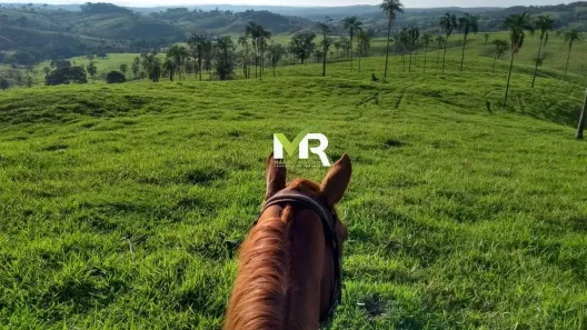 Fazenda / Sítio / Chácara à venda no , Ipameri