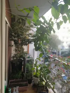 Apartamento com 3 Quartos à venda, 136m² no Higienópolis, São Paulo