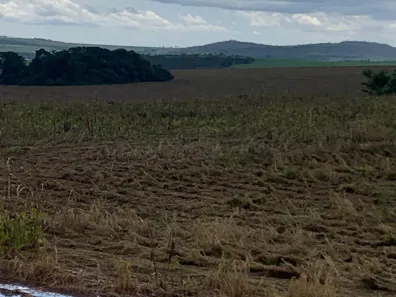 Fazenda / Sítio / Chácara com 5 Quartos à venda, 210m² no , Ipameri