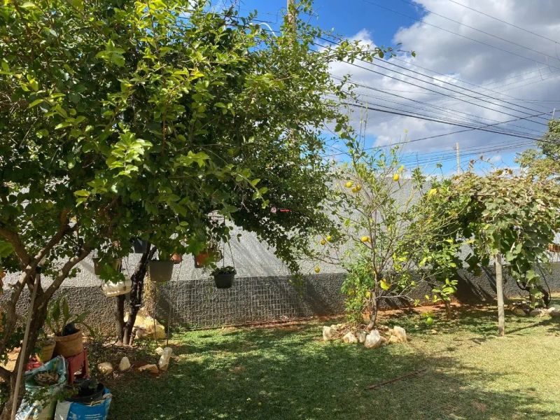 Foto 58