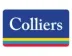 Miniatura da foto de Colliers International