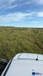 Terreno / Lote / Condomínio à venda, 260m² no Centro, Mineiros