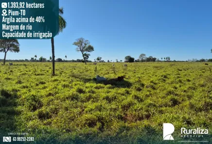 Fazenda / Sítio / Chácara à venda, 1393m² no , Pium
