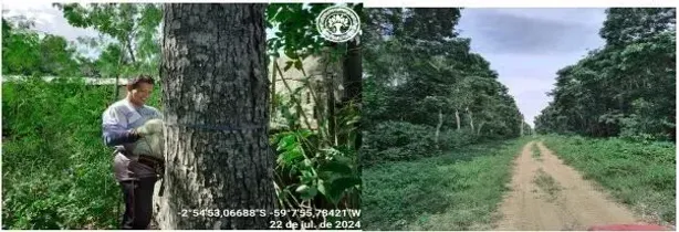 com 1 Quarto à venda, 250m² no , Eirunepé