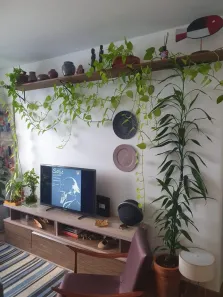 Apartamento com 2 Quartos à venda, 72m² no Vila Itapura, Campinas