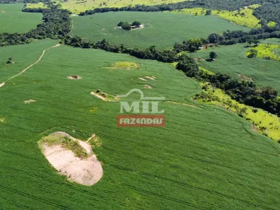 Fazenda / Sítio / Chácara à venda, 500m² no , Ipameri