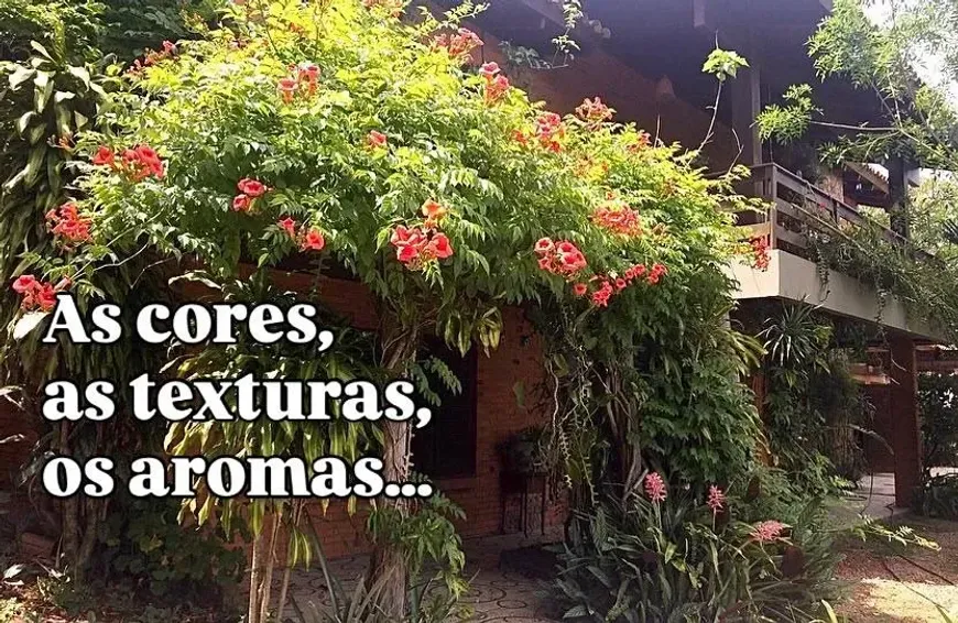 Foto - Porto Alegre - Belém Velho