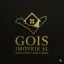 Henrique Gois