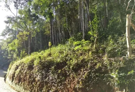 Terreno / Lote / Condomínio à venda, 10m² no Parque do Imbui, Teresópolis