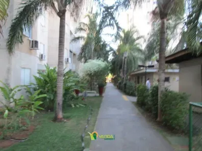 Apartamento com 2 Quartos para alugar, 50m² no Residencial Santa Filomena, São José do Rio Preto