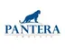 Miniatura da foto de Pantera Parque Consultoria De Imoveis