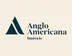 Miniatura da foto de Anglo Americana Imóveis