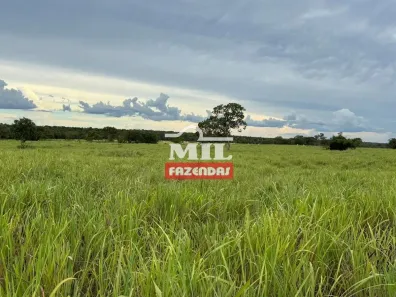 Fazenda / Sítio / Chácara à venda, 500m² no , Ipameri