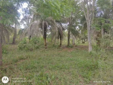 Fazenda / Sítio / Chácara com 3 Quartos à venda, 10m² no , Ipameri