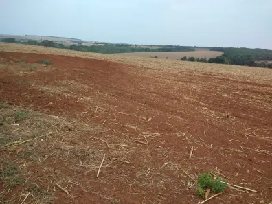Fazenda / Sítio / Chácara com 3 Quartos à venda, 31m² no , Ipameri
