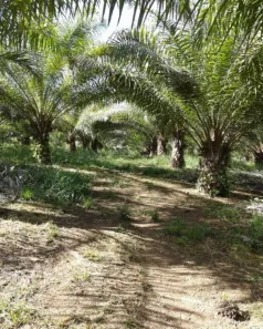 Casa com 2 Quartos à venda, 200m² no Centro, Candeias