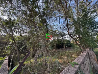 Terreno / Lote Comercial à venda, 4580m² no Pinheirinho, Vinhedo