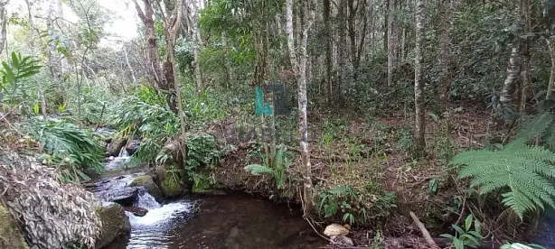 à venda, 1m² no , Marmelópolis