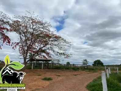 Fazenda / Sítio / Chácara com 3 Quartos à venda, 5m² no , Ipameri